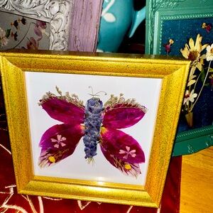 Real pressed flower butterfly